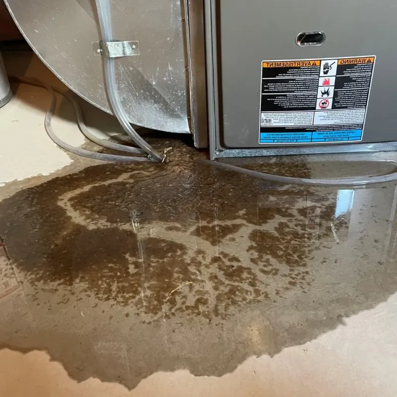 Pipe Burst and Leak Restoration in Dawson Springs, KY