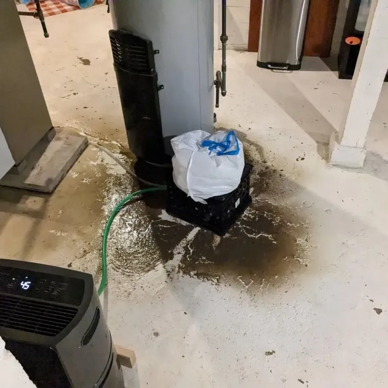 Sewage Backup Cleanup Service in Dawson Springs, KY
